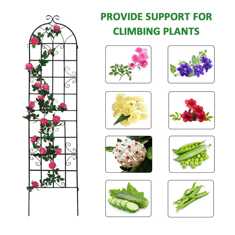 Metal Garden Rustproof Trellis For Climbing Plants Outdoor Flower Support