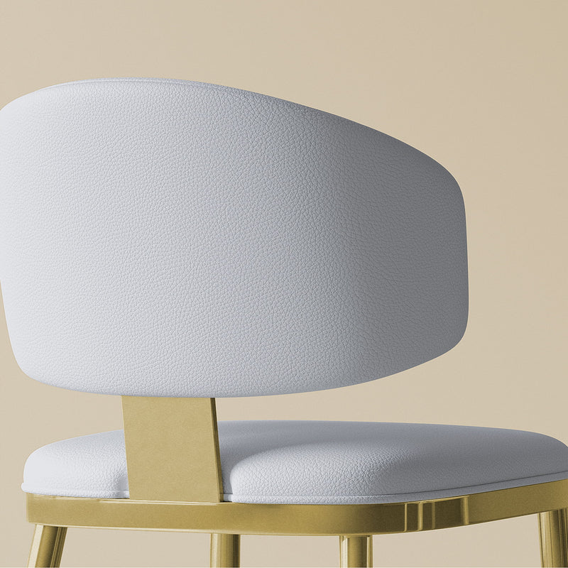 Modern Dining Chairs For Kitchen (Set of 2)