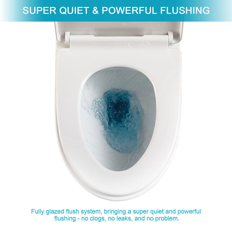 1 Piece Toilet & Dual Flush And Soft Closing Seat - White