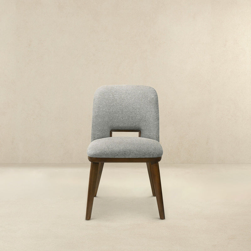 Blake - Modern Dining Chair (Set of 2)