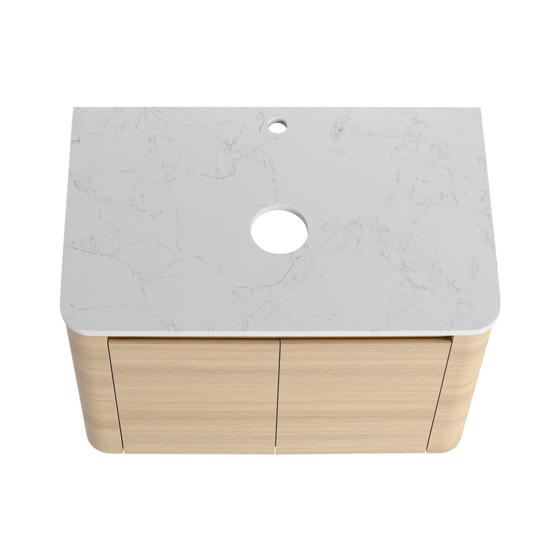 Wall Mounted Bathroom Vanity With Soft Close Door, Excluding Sink