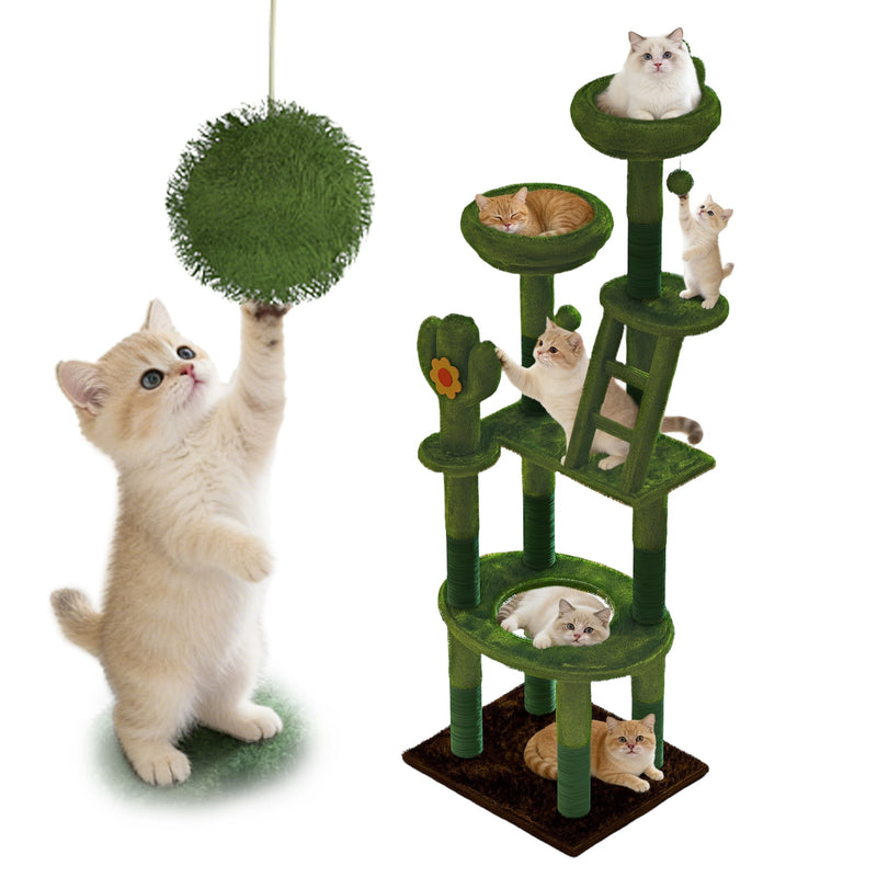 Cactus Cat Tree With Transparent Capsule