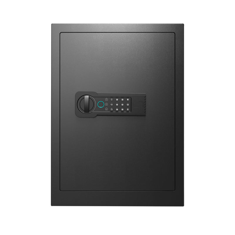 Home Safe, Fingerprint & Digital Keypad Lock, Security Cabinet