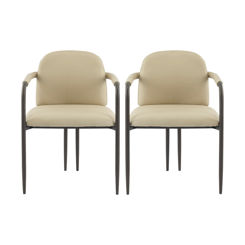 Modern Dining Chair (Set of 2) With Iron Frame - Espresso / Khaki