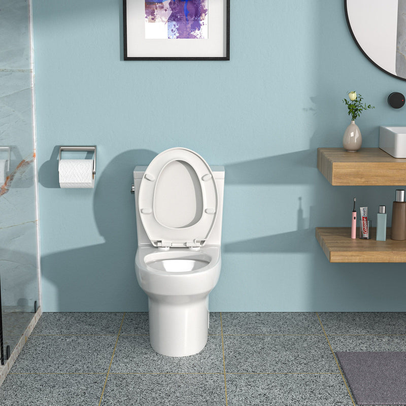 1 Piece Toilet & Soft Closing Seat - White