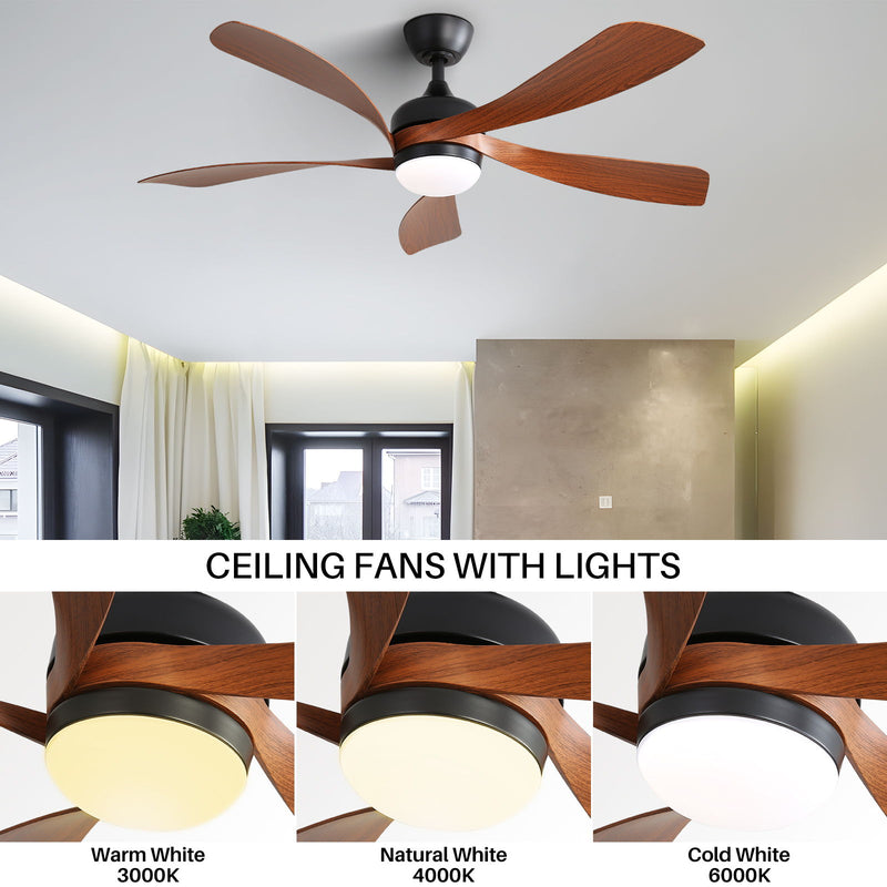 Ceiling Fan & DC Motor And Integrated Light