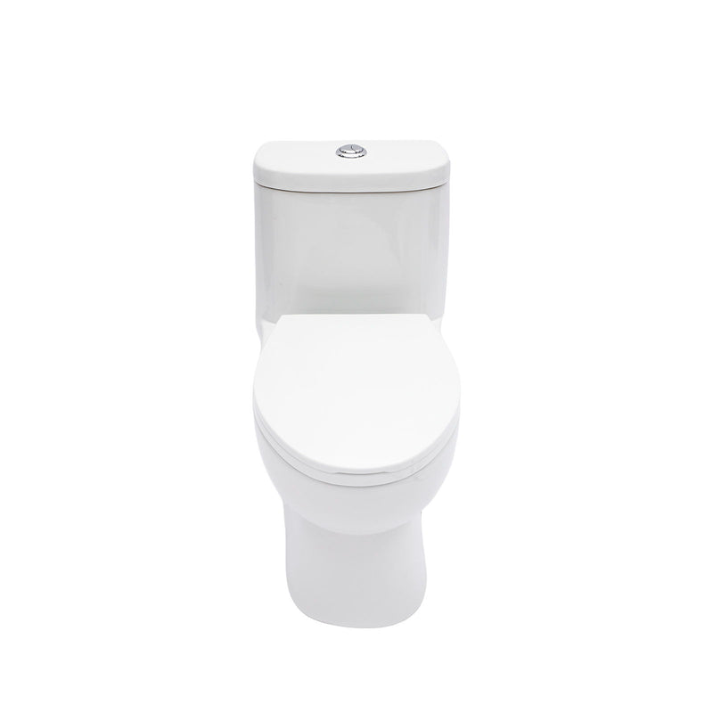 1 Piece Toilet For Bathroom, Dual Flush, Soft Closing Seat - White