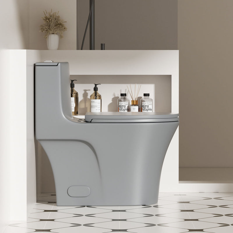 1 Piece Toilet With Dual Flush And Soft Closing Seat