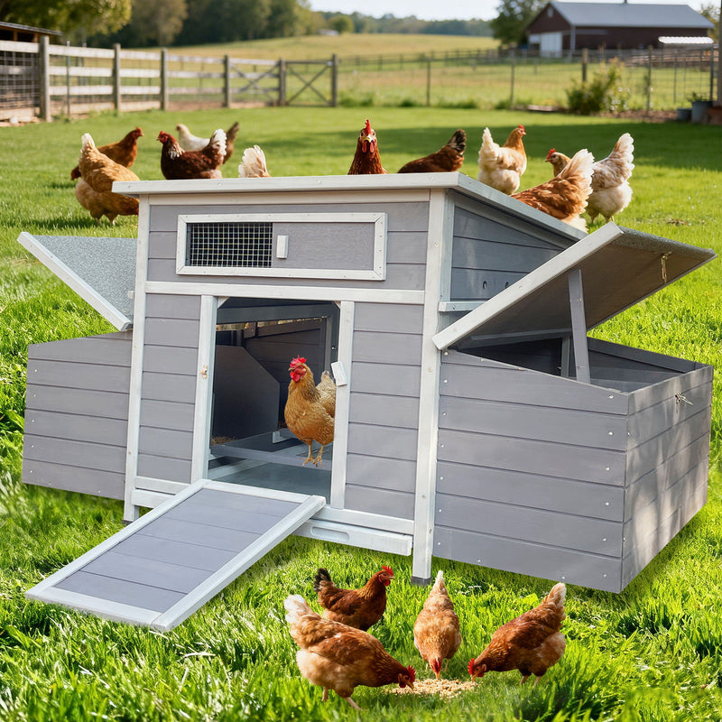 Chicken Coop, Large Outdoor Hen House With Run And Nesting Box Poultry Cage, Rabbit Hutch - Grayish Purple