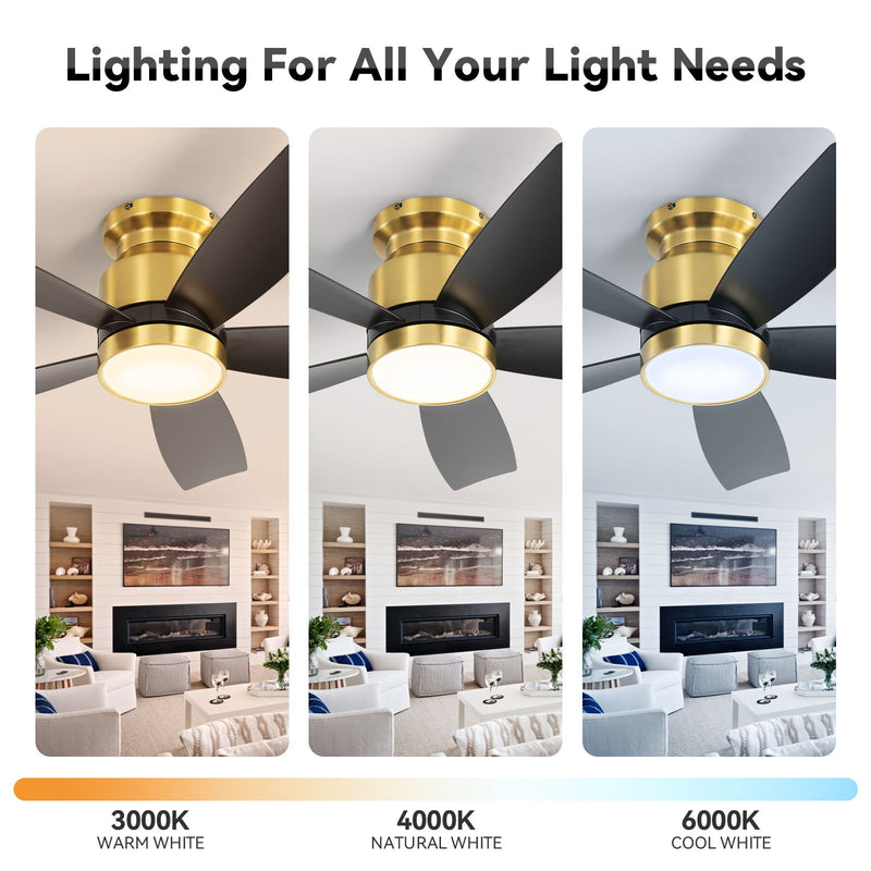 Flush Mount Ceiling Fan With LED Light 22W And Remote Control Blades / Body, DC Motor
