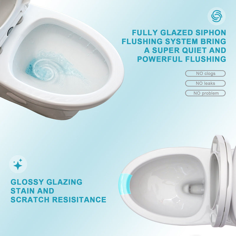 1 Piece Toilet For Bathroom, Dual Flush, Soft Closing Seat - White