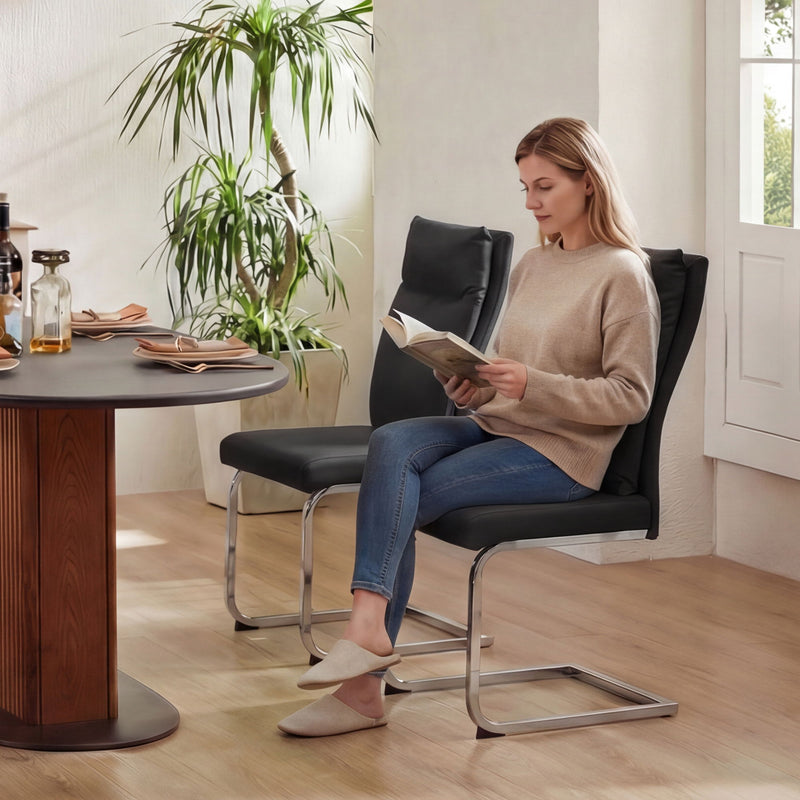 Modern Dining Chair SetWith Soft Cushion Backrest (2 Pieces)