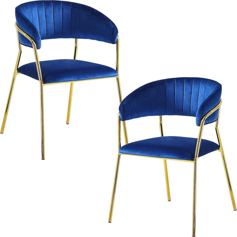 Accent Armchair For Home (Set of 2) - Blue