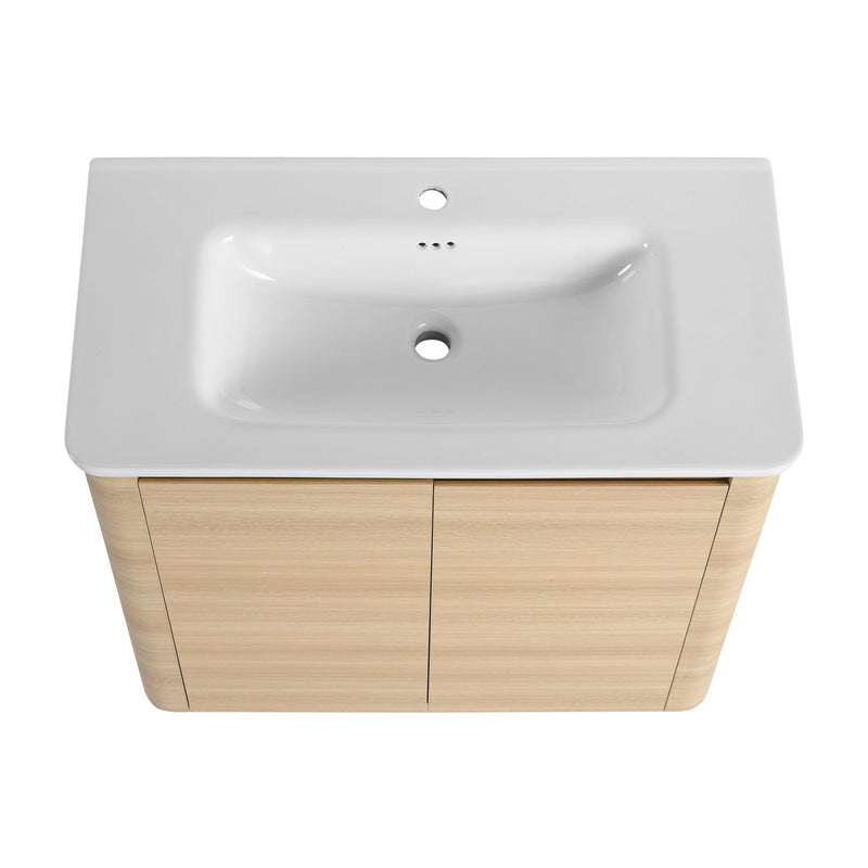 Freestanding Bathroom Vanity With Sink & 2 Soft Close Doors