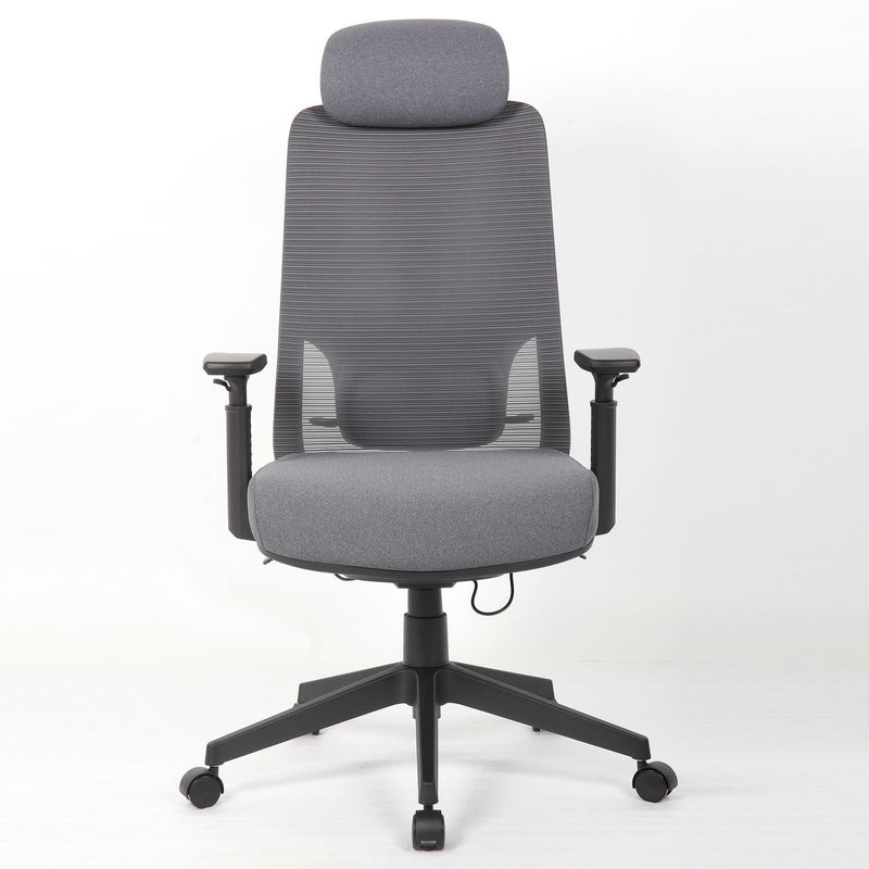 High Back Ergonomic Office Chair With Adjustable Headrest & 5D Armrest, Height Adjustable Swivel For Home Office - Antique Gray