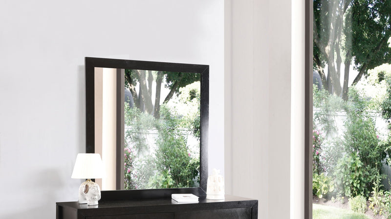 Burlington - Modern Design Transitional Wall Mirror