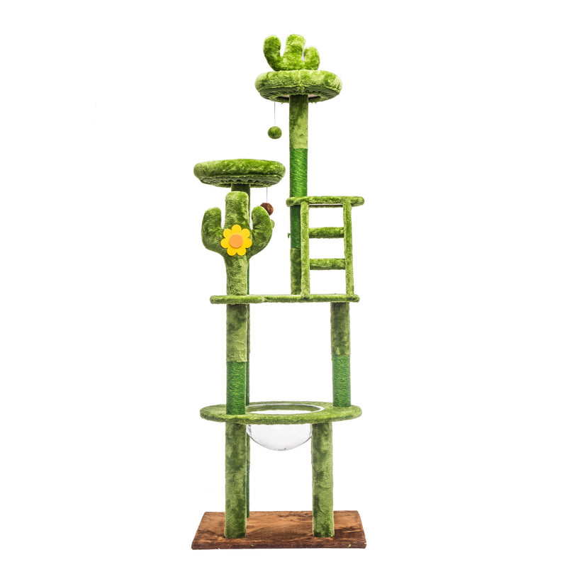 Cactus Cat Tree With Transparent Capsule