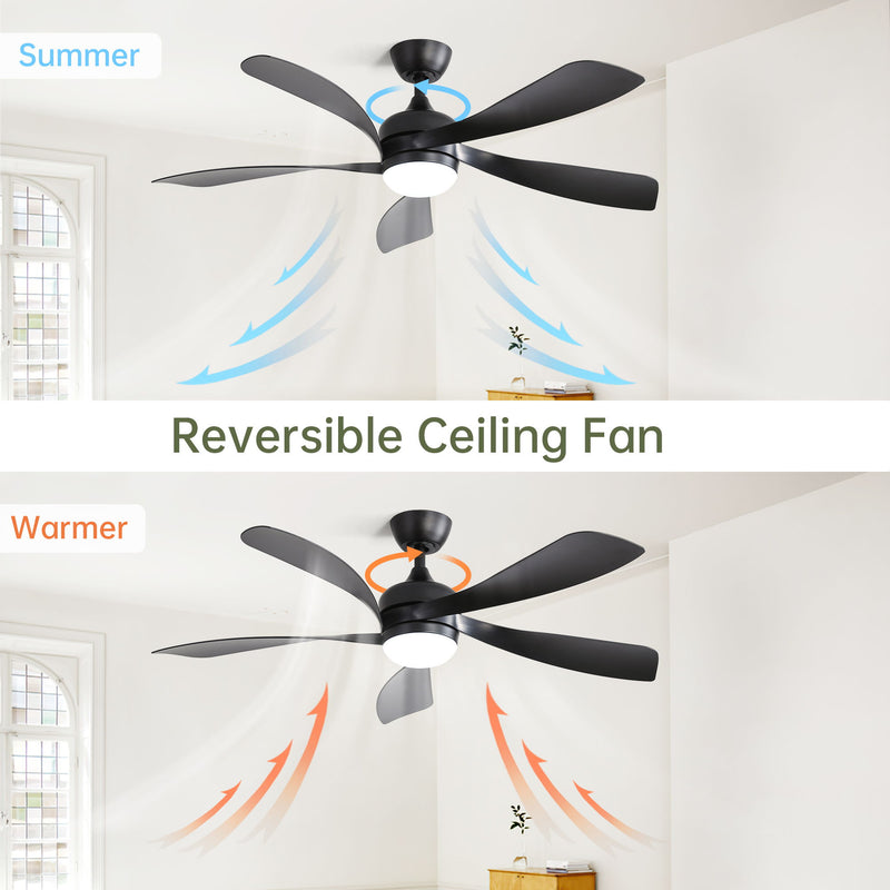 Ceiling Fan & DC Motor And Integrated Light