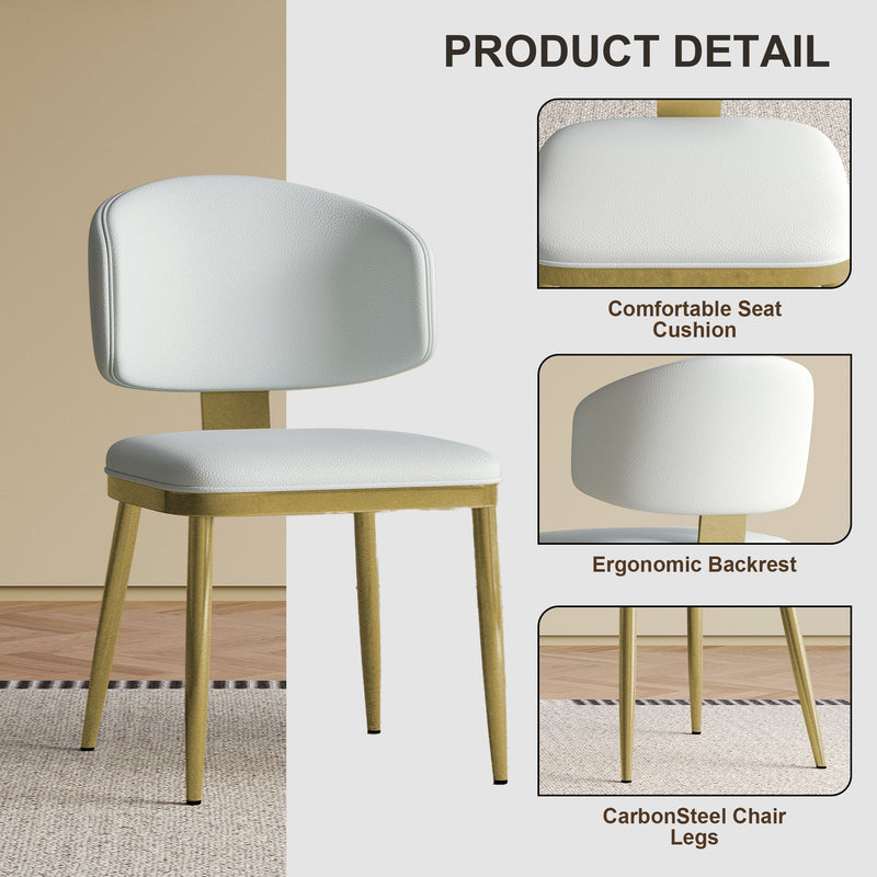 Modern Dining Chairs For Kitchen (Set of 2)