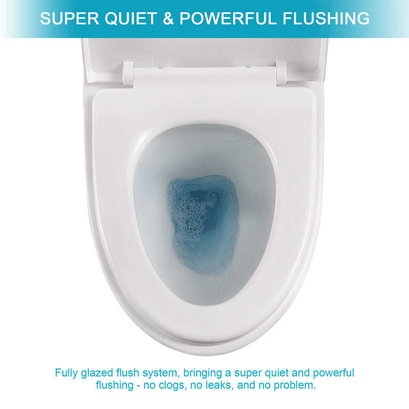 1 Piece Toilet, Dual Flush, Soft Closing Seat - White