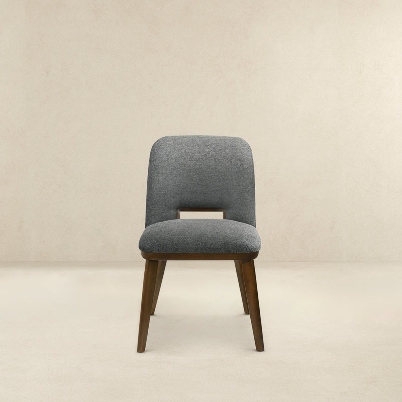 Blake - Modern Dining Chair (Set of 2)