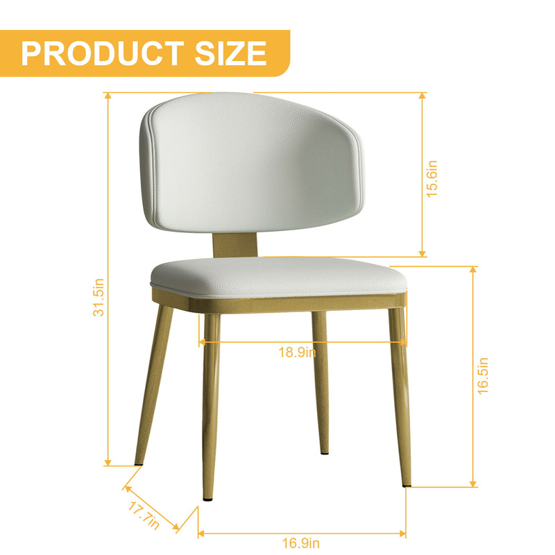 Modern Dining Chairs For Kitchen (Set of 2)