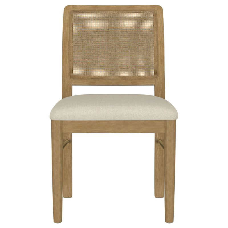 Benson - Dining Side Chair (Set of 2)