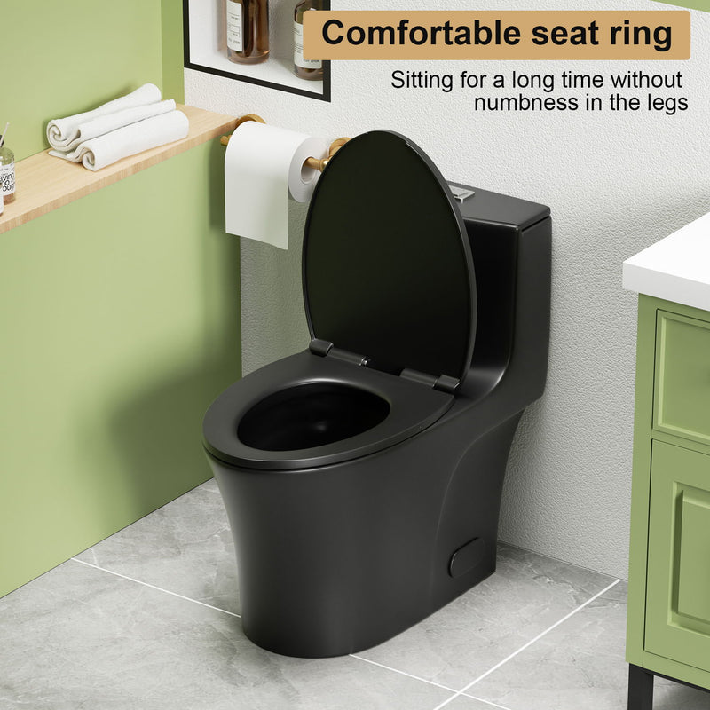 1 Piece Toilet With Dual Flush And Soft Closing Seat