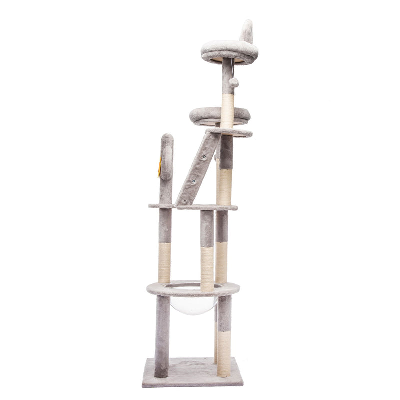 Cactus Cat Tree With Transparent Capsule