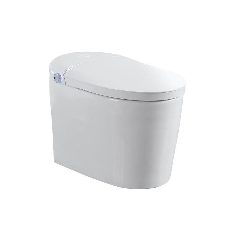 Tankless Smart Toilet With Bidet Built In, 1 Piece, Auto Flush, Auto Open / Close, Heated Seat, Bubble Wash, Warm Water And Dry, Adjustable Temp, Remote Control Side Know - White