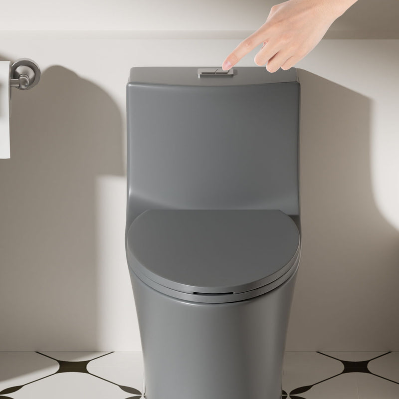 1 Piece Toilet With Dual Flush And Soft Closing Seat