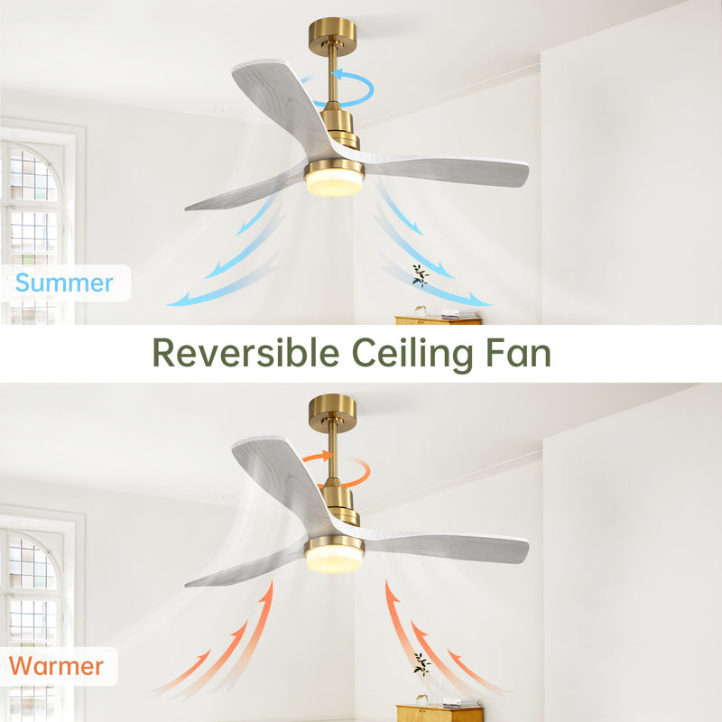 Ceiling Fan With Dimmable LED Light 6 Speed Remote 3 Blade Reversible DC Motor For Bedroom
